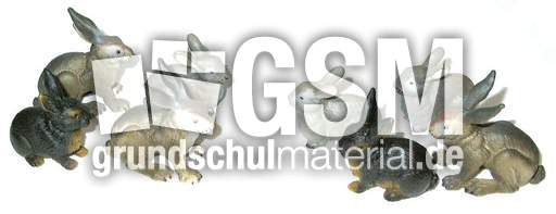 Hasen4+4.jpg